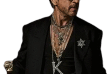 Shah Rukh Khan Net Worth